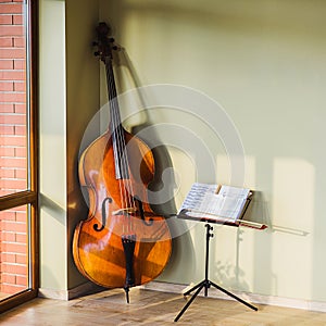 Old contrabass