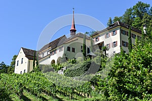 Old convent at Altdorf in the Canton of Uri