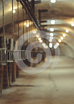 Old conveyor belt production of champagne wines.