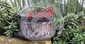 Copper cauldron with a handle