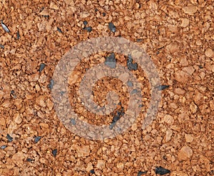 old corkwood texture