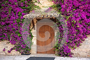 Old cosy house with wooden door and purple flowers