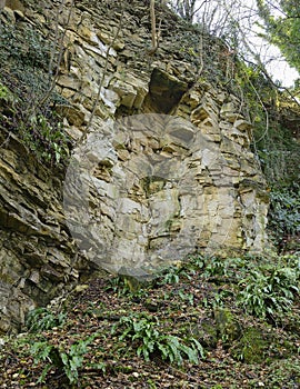 Old Cotswold Limestone Quarry