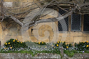 Old Cotswold Stone Exterior