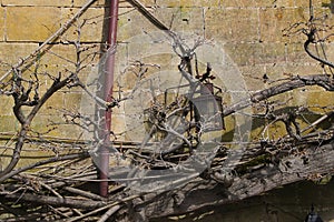 Old Cotswold Stone Exterior