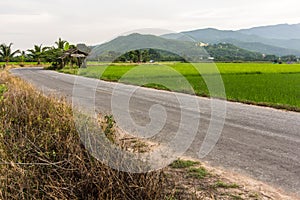 Old cottage in the rice fields with mountain