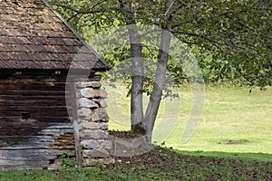 An old cottage and a walnut tree in a forest in Romania