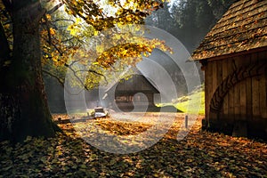 Old cottages under colorful trees