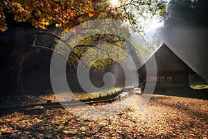 Old cottages under colorful trees