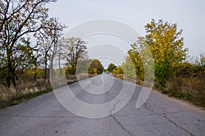 Old country asphalt road in an autumn field with colored trees