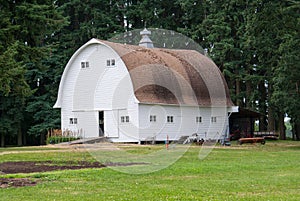 An old country barn in the Willamette Valley of Oregon