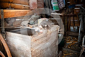 Old country farm barn interior