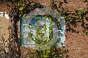 Old country house window