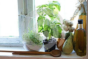 Old country kitchen window with herbs