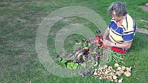 Old country woman sitting on grass process fresh beet root vegetables. 4K