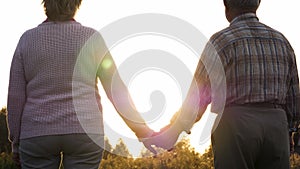 Old Couple Holding Hands On Background Of Green Nature With Sunset Sunlight