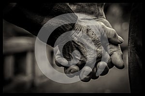 Old couple holding their hands