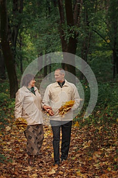 An old couple of pensioners walk in an autumn park, hold hands