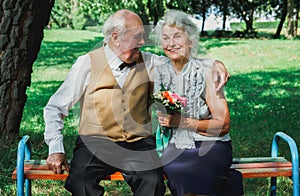 Old couple is sitting on bench in the green park. Grandmother and grandfather at their golden wedding anniversary celebration.