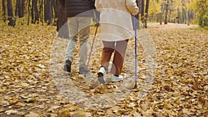 old couple walking on park with fallen yellow trees, close up cropped video
