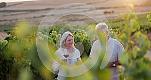 Old couple, walking in vineyard and wine outdoor for tasting, love and marriage, retirement with life partner and travel