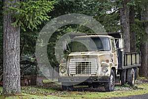 Old covered with green moss small rig semi tipper truck with dump trailer stands eternally laid up under the trees as if it had