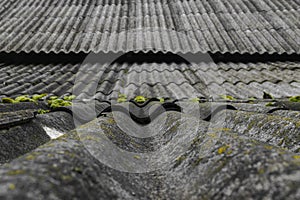 Old and covered with green moss wavy roof slates covers the barn