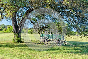 Old Covered Wagon Under the Oak Tree