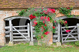 Old cow shed in England