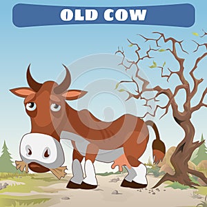 Old cow in wasteland, character from wild West