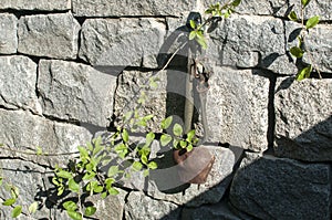 Old cowbell on stone wall