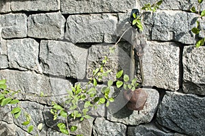 Old cowbell on stone wall