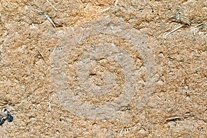 The old cracked clay wall