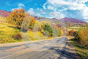 Old cracked country road in autumn