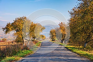 old cracked country road through rural valley in morning light