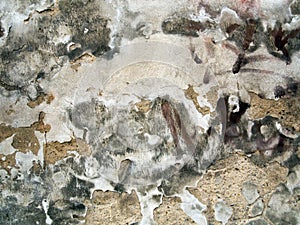 Old cracked and eroded plaster