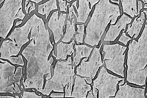 Old cracked paint on the wall. Dark toning.