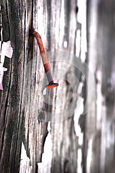 Old Cracked Paint Wall with Nail