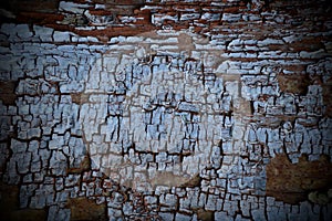 Old cracked paint on a wooden surface