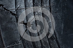 Old cracked rubber tire texture background