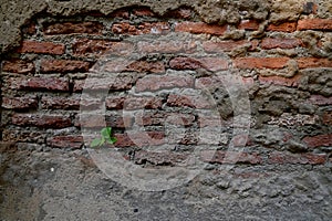 The Old Cracked Wall of a concrete building. A part of the red brick wall was abandoned wall background photo