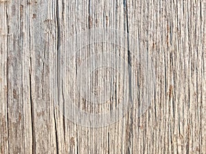 Old cracked werathered wood. Wood texture background