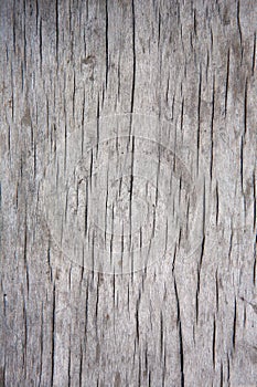 Old cracked wood background