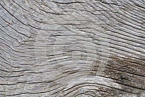 Old and cracked wood background or texture