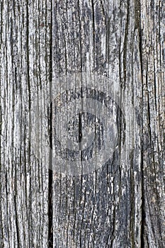 Old cracked wood plank background. Wood texture.