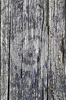 Old cracked wood plank background. Wood texture.