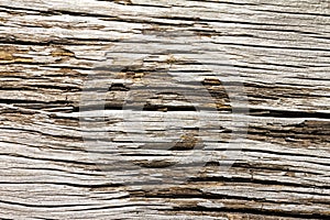 Old Cracked Wood Texture