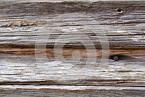 Old Cracked Wood Texture with Rusty Nail
