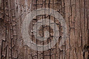 Old cracked wooden surface