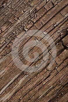 Old cracked wooden surface